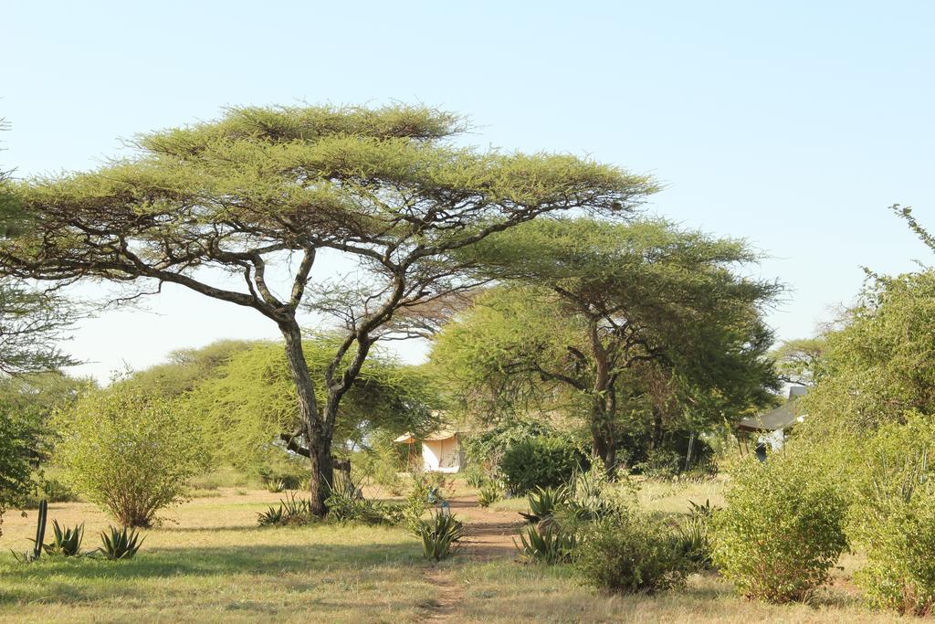 Mapito Tented Camp Серенгети Экстерьер фото