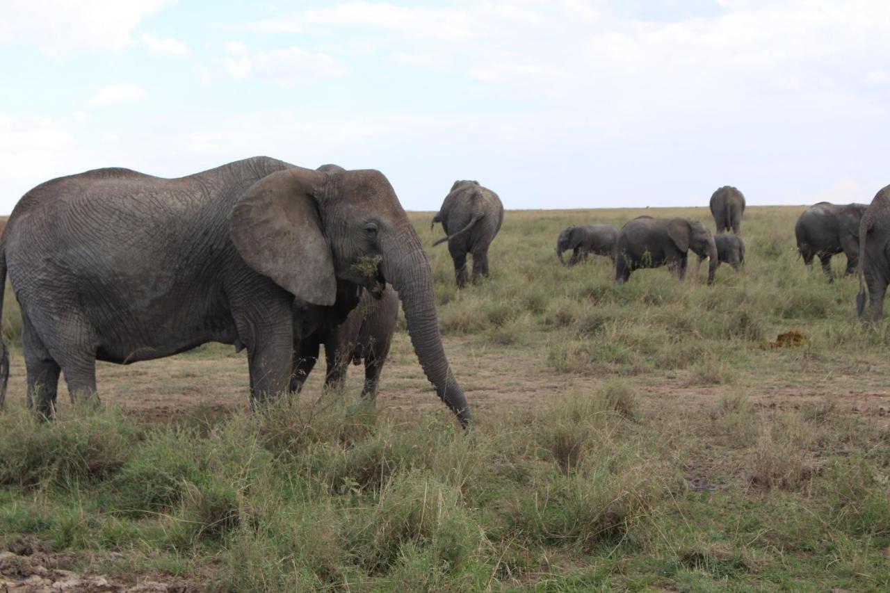 Mapito Tented Camp Серенгети Экстерьер фото